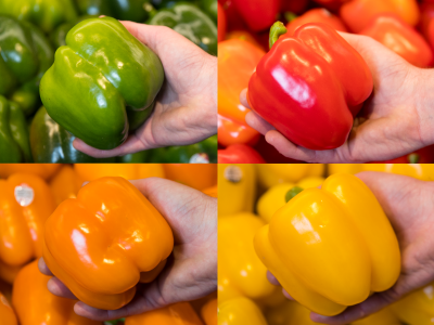 Bell Pepper Different Colors