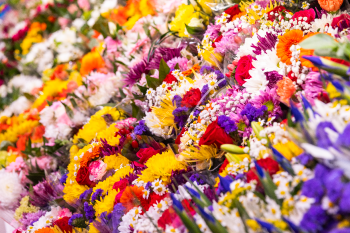 Floral aisle