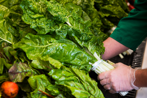 Closeup of the Swiss Chards in produce department.