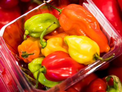 Habanero Peppers