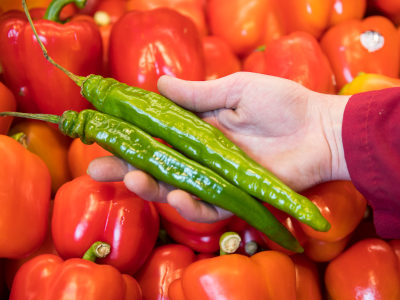 Italian Long Hot Peppers