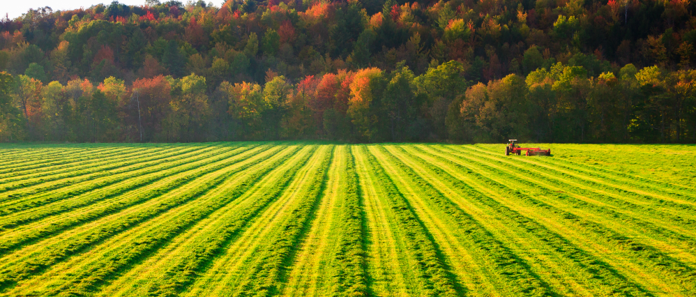 new england farm