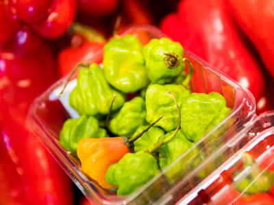 Scotch Bonnet Pepper