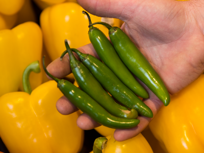 Serrano Hot Pepper