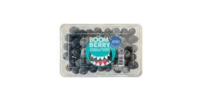 https://www.shopmarketbasket.com/sites/default/files/styles/flyer_thumb/public/products/2022-11/boom-berry-jumbo-blueberries_MB.jpg?itok=-paG5myQ