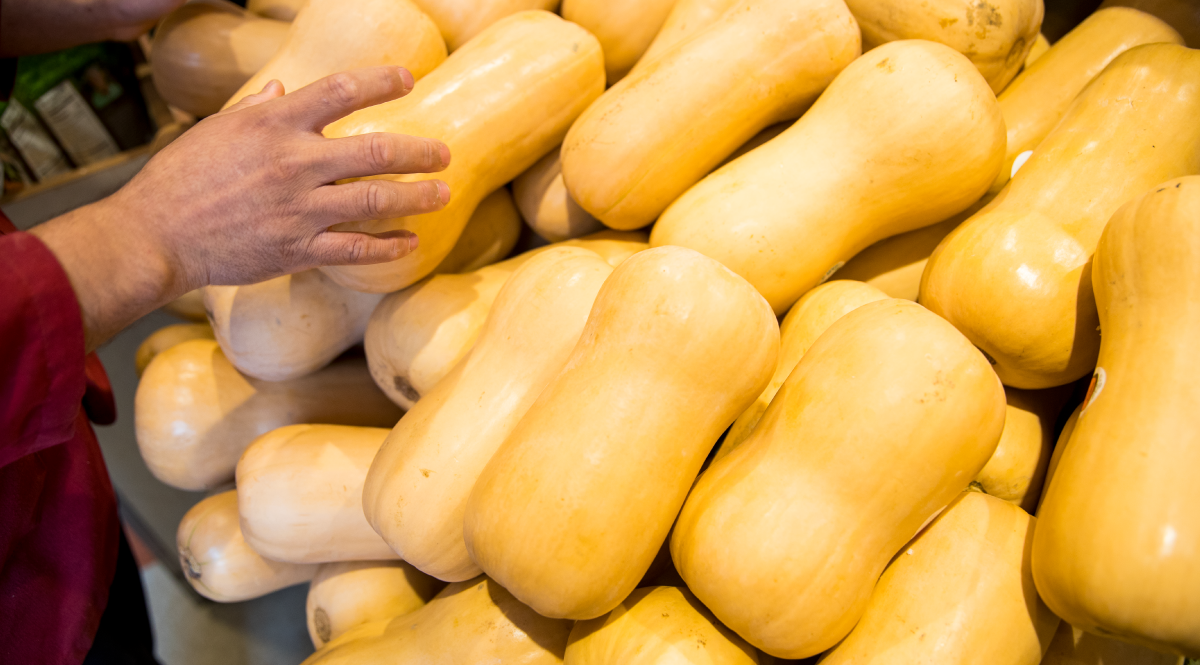 Butternut Squash in Produce