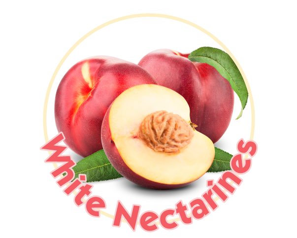 White Nectarines