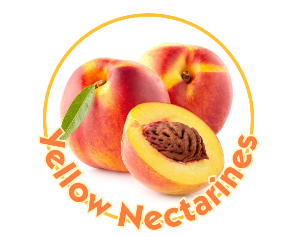 Yellow Nectarines